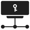 Computer security key icon